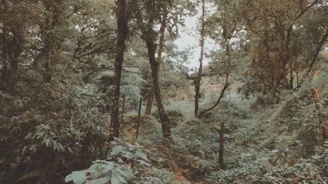 XIMG_0663